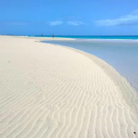 Your Ocean Eyes Apartment