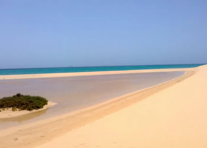 Your Ocean Eyes Apartamento